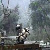 Pandas 01